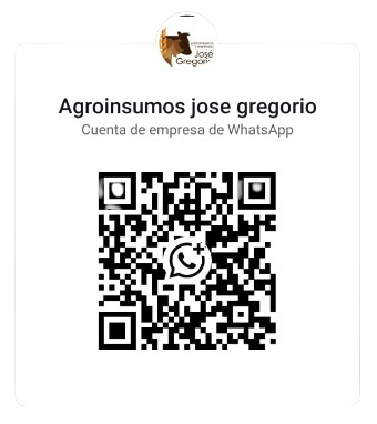 QR WhatsApp
